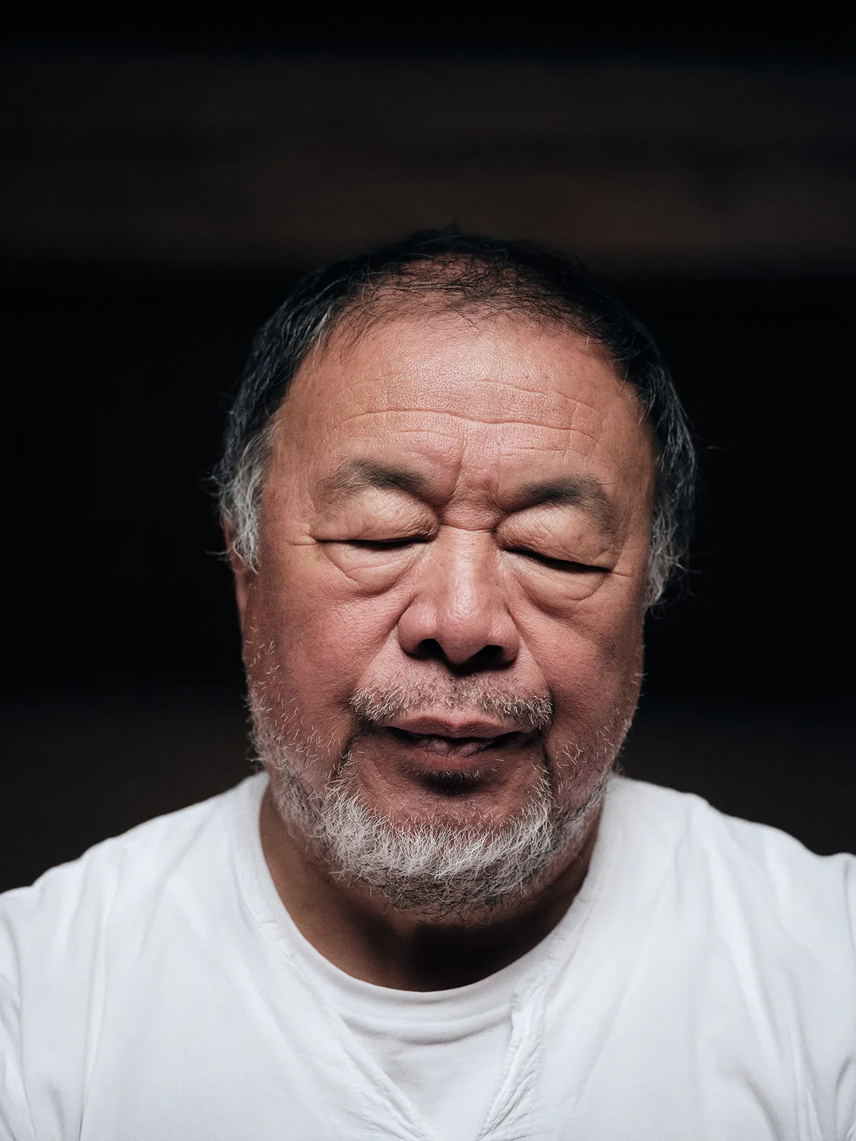 METAL-52-AIWEIWEI-5.jpg